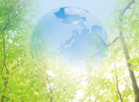 観光SDGs 写真
